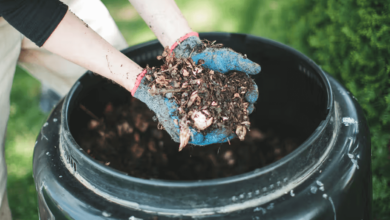 Starting a Compost Bin: A Step-by-Step Guide to Eco-Friendly Gardening