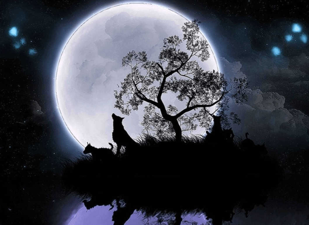 Moon:Og4alzgmvog= Wallpaper:1fgcv1egh8u= Wolf