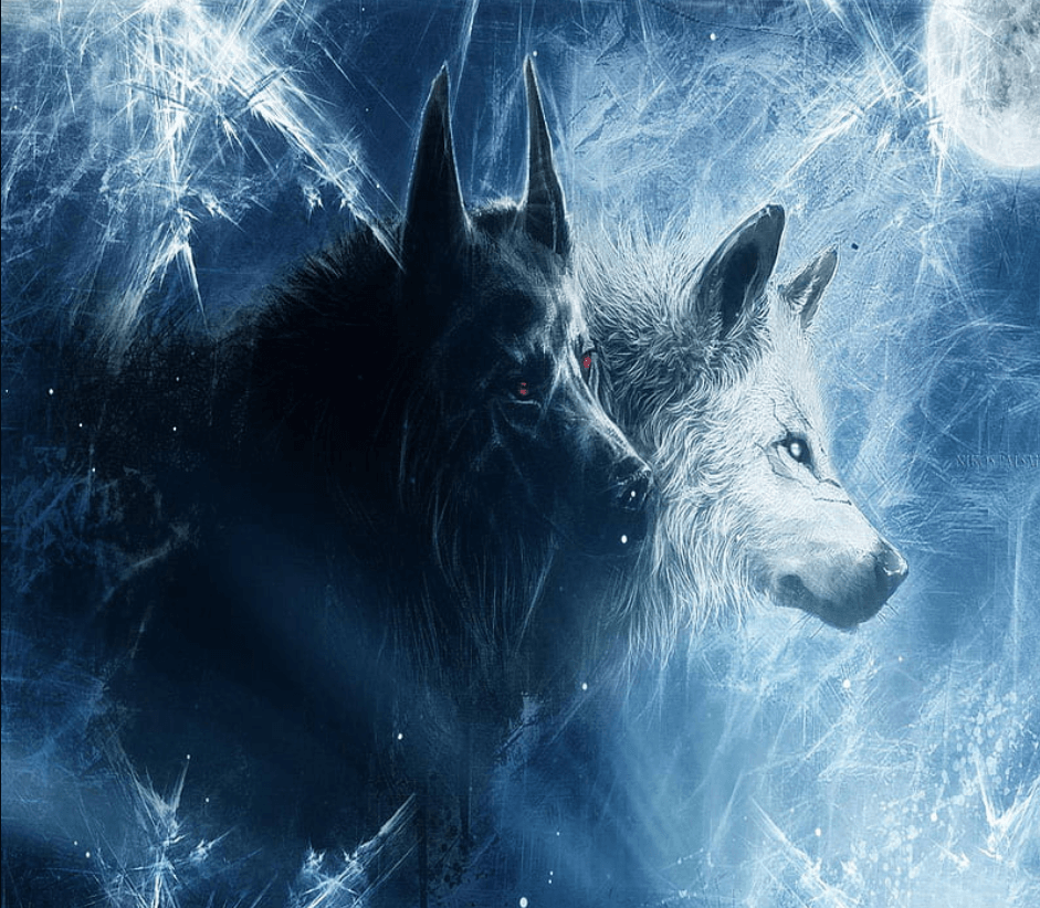 Wallpaper:5z1esso7hiq= Wolfs