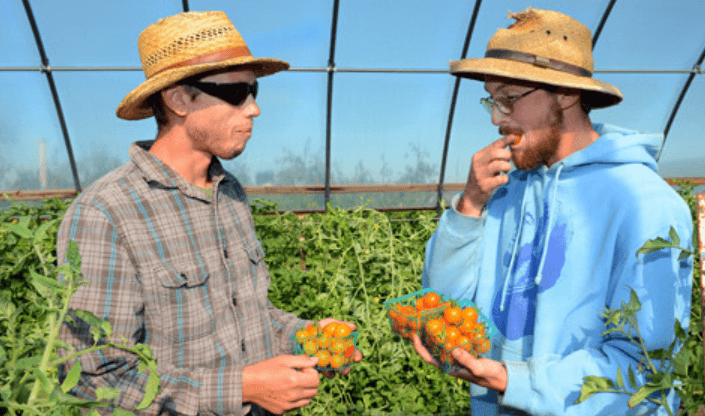 Farm Close To Me: Finding Local Fresh Produce and Activities