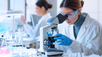 Pharmaceutical Consultant Roles and Key Industry Insights