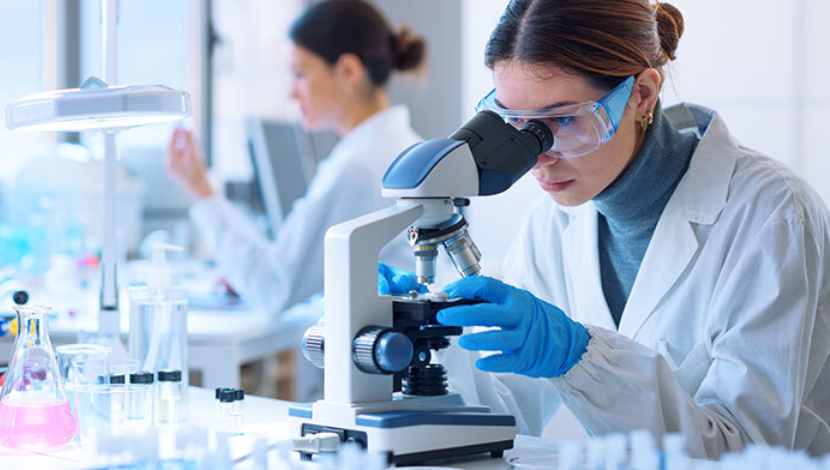 Pharmaceutical Consultant Roles and Key Industry Insights