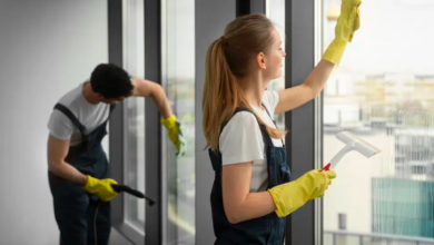 Guide to Thoroughly Clean Your Entire Home in One Weekend