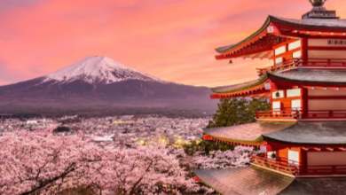 Why Indian Travelers Prefer Flamingo Transworld’s Japan Tour Packages