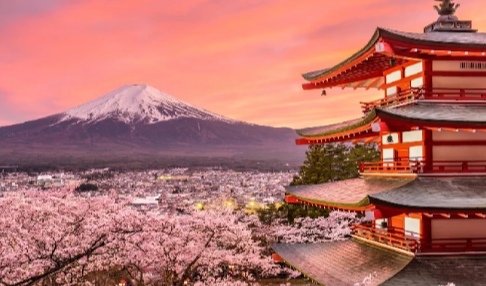 Why Indian Travelers Prefer Flamingo Transworld’s Japan Tour Packages