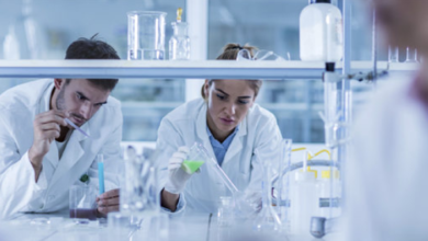 Meth Testing in Australia: Why Professional Services Are Becoming a Public Health Imperative