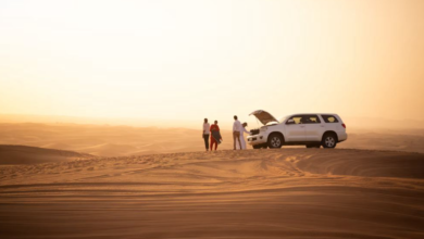 Unforgettable Dune Bashing Dubai ExperienceThe Ultimate Morning Desert Safari