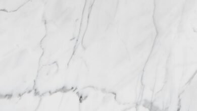 premium industry review insights