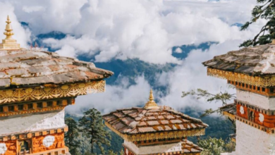Why Bhutan Tour Packages by Flamingo Travels Are Worth Considering