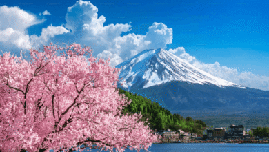  7-Day Japan Tour Itinerary for First-Time Travelers