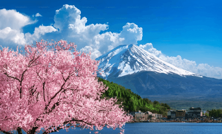  7-Day Japan Tour Itinerary for First-Time Travelers