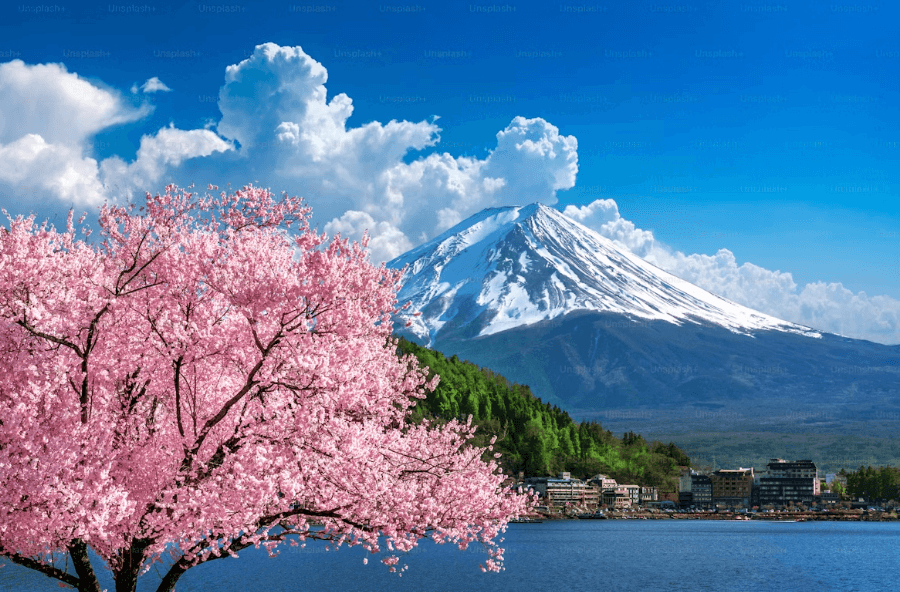 7-Day Japan Tour Itinerary for First-Time Travelers
