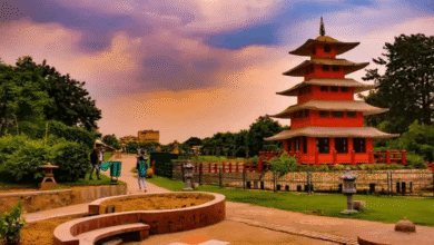 Chandigarh’s gardens became my favourite way to explore the city